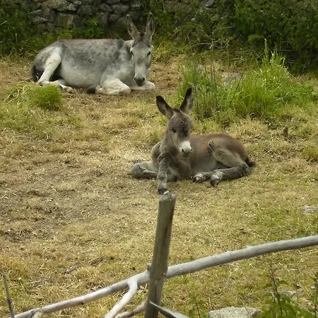 Gospodarstwo wiejskie El Huerto De Pipo *