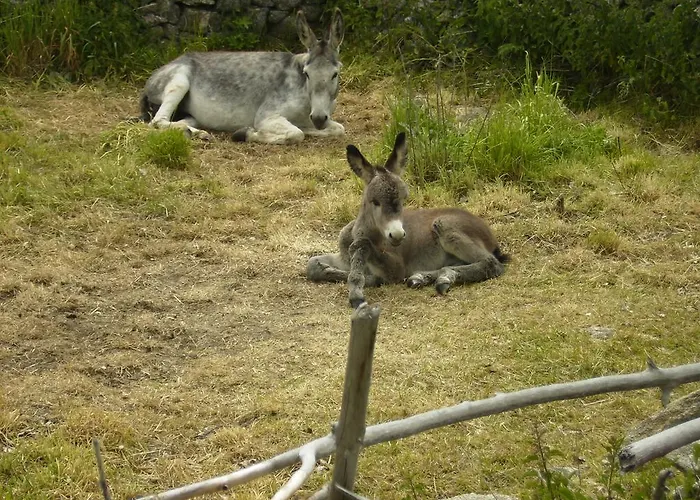 컨트리하우스 El Huerto De Pipo *